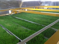 Автоматизация установки для выращивания живого корма